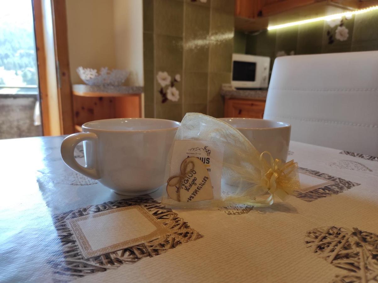 Angius Dg Apartment Livigno