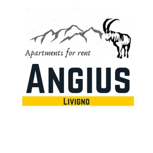 Angius Dg Livigno